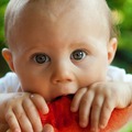 Près d’un enfant de 0 à 18 ans sur deux mange moins d'un fruit et légume par jour